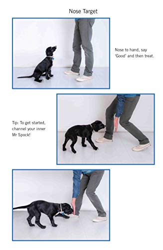 Easy Peasy Puppy Squeezy: Your Simple Step-By-Step Guide To Raising And Training A Happy Puppy #TOP4
