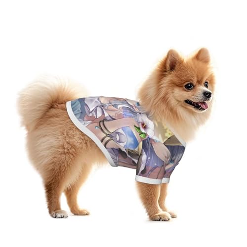 Fgo AiX^VAEjRGiE}m@  ̕ TVc ybg ^sVc hbOEFA xXg UoEFA