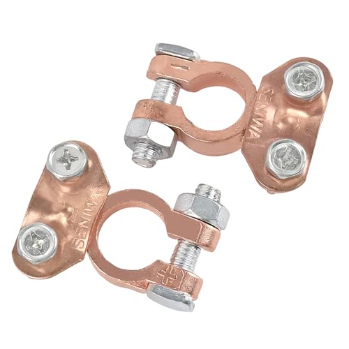 2 Paar Batterie Polklemmen, Batterieklemmen Massiv, Autobatterie + Plus - Minus Batterie Pole Klemme, Kupfer Steckverbinder Positiv & Negativ für Auto Boot Wohnmobil Caravan und Batterien