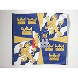 AZ FLAG   Drapeau Etendard royal de Suède   90x90 cm   Drapeau Roi Suèdois 100% Polyester Avec Fourreau et Cordelette   Pavillon 80 g