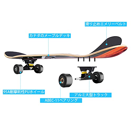 Hikole スケートボード コンプリート 31x8インチ スケボー