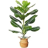 MOSADE Artificial Fiddle Leaf Fig Tree 30" Fake Potted Ficus Lyrata Plant with Handmade Seagrass Bas