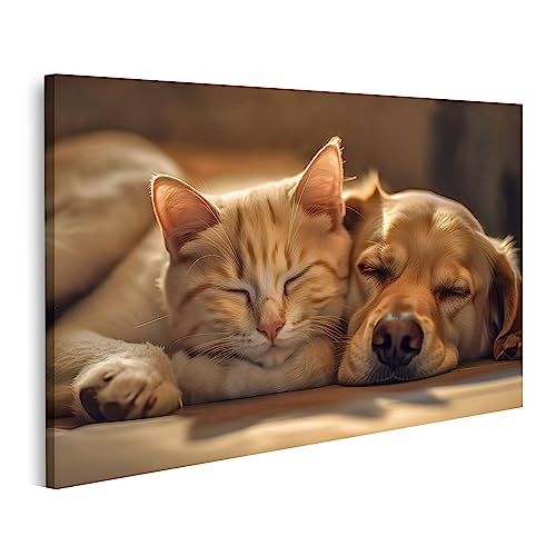 Tableau sur toile animaux qui dorment, déco murale zen pour la maison
