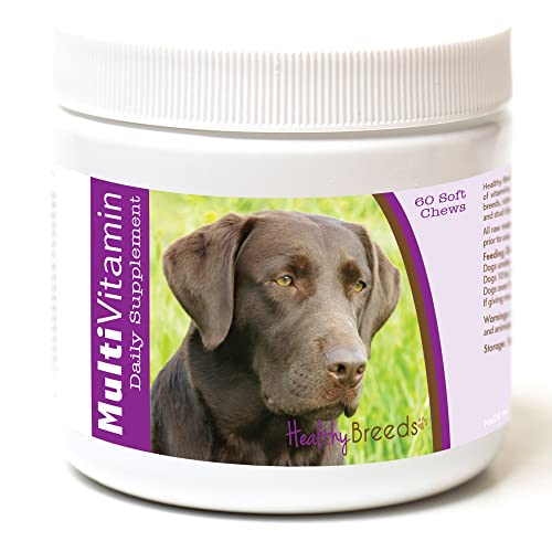 Healthy Breeds Labrador Retriever Multi-Vitamin Soft Chews 60 Cou...