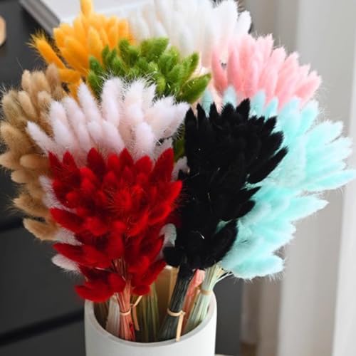 60 flores secas de cola de liebre natural para decoración miniatura 6