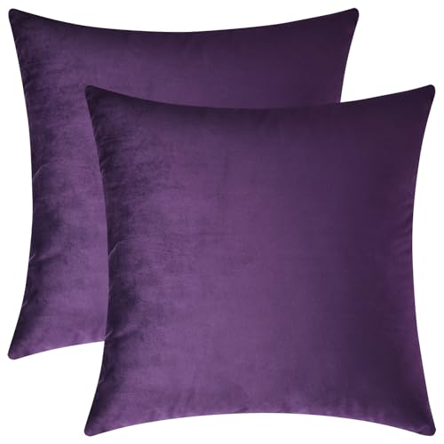 Image of Mixhug Decorative Throw Pillow Covers, Velvet Cushion Covers, Solid Throw Pillow Cases for Couch and Bed, Purple, 22 x 22 Inches, Set of 2