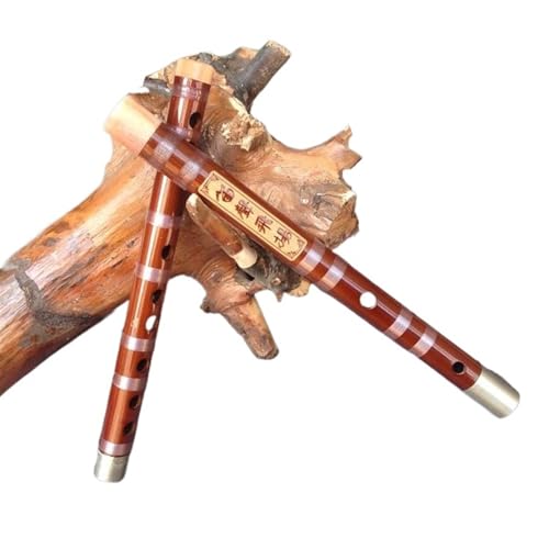 S҂JwԂ߂̓dڑ 2 ZNVt[g|Jy SҒ|J (Color : D)