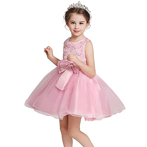 Flower Girls Wedding Party Dress Shiny 3D Lace Tulle Kids Pageant Ball Gown Prom3