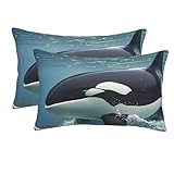 2 Pack Pillow Cases with Zipper, Soft Breathable Pillowcase for Hair and Skin, 20'x30' Pillow Covers for Sleeping Gift Bed Pillow Case Orca Killer Whale Pillowcases