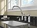 Delta Faucet Pilar Kitchen Soap Dispenser for Kitchen Sinks, Chrome RP50781