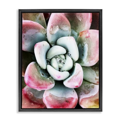 Succulent Plant Rain Droplet, 16 x 20 Inch Canvas in Floater Frame