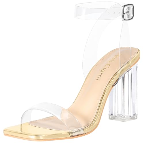 Image of Women's Clear Chunky Block Heeled Sandals 3.74 Inches Open Toe Ankle Strap Block High Heel Sandal Dress Dancing Sandals Daily Work Party Shoes