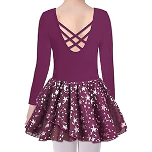 DANSHOW Ballet Leotards for Girls Dance Skirted Leotard Kids Ballet Tutu Dress Toddler Shiny Ruffle Sleeve Dancewear