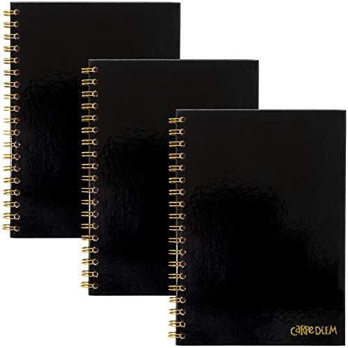 Pukka Pad, Carpe Diem 3-Pack B5 Hardcover Notebooks, 7 x 9.8 Inches Each, Ballerina Pink