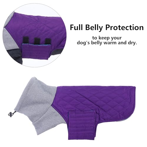 Veste pour teckel miniature imperméable Geyecete pull col haut violet M - 4