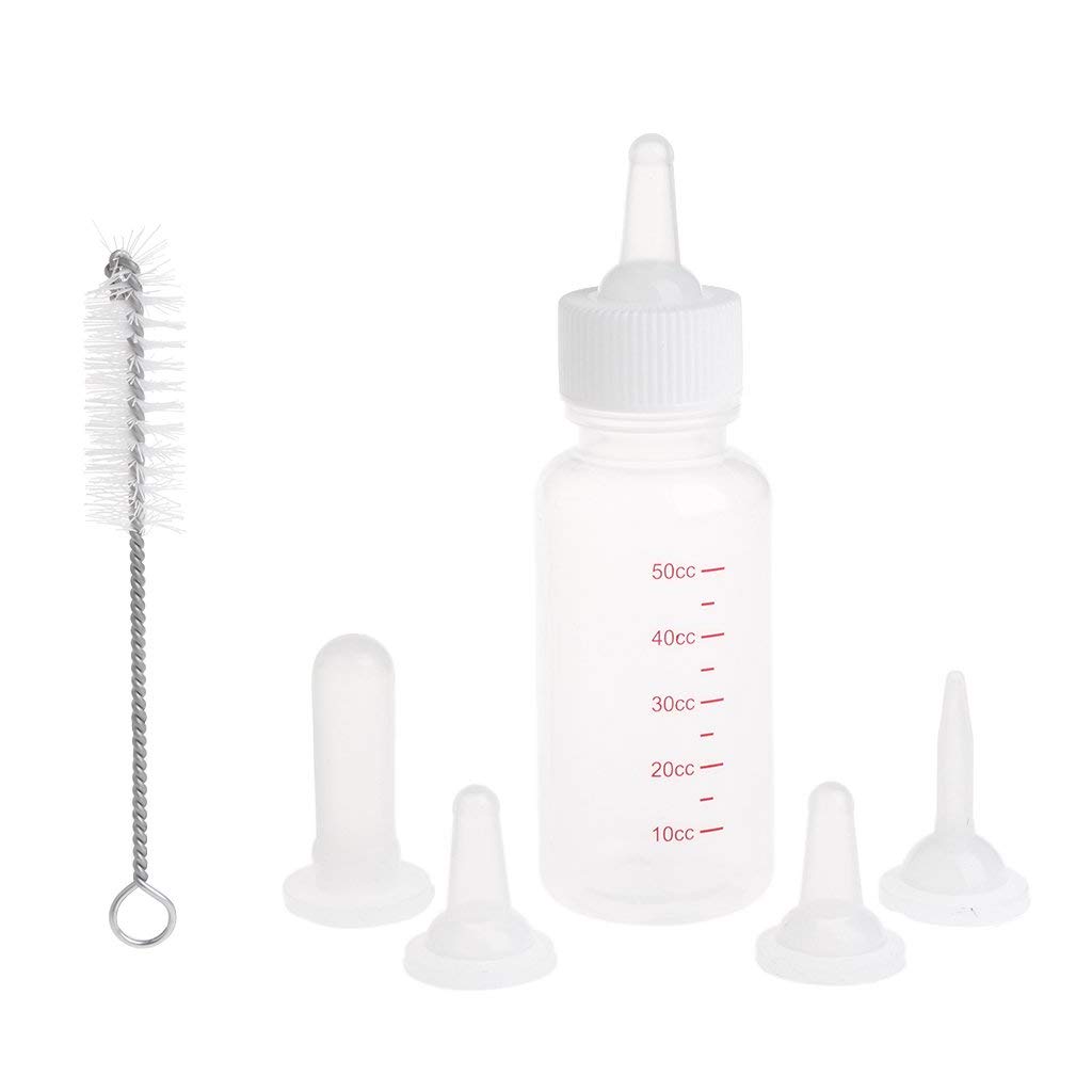 kitten nipple bottle