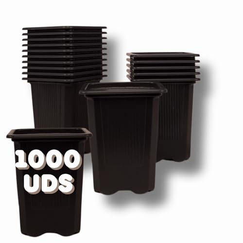 GROWMANIA.ES GROWMANIA Lot de 1000 pots carrés noirs pour plantes 8 x 7 x 7 cm 1000 pots en plastique pour fleurs 8 x 7 x 7 cm Idéal pour l'extérieur et...