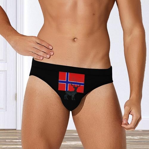 Norwegian Flag and Deer Printed Swim Briefs for Men Sexy Bikini Swimwear Elastic Beach Trunks Bathing Suit2