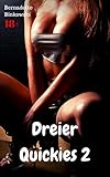  Dreier Quickies 2: Geiler Sex Sammelband