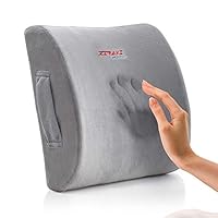 Algopix Similar Product 8 - Lumbar Pillow Back Pain Support  Seat