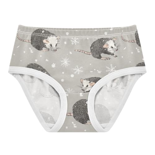 Wusikd Opossum Girls' Underwear Cotton Snowflake Girls Briefs Soft Toddler Underwear 2T