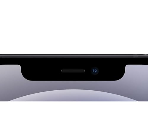 Apple iPhone 12, 256GB, Black (Renewed) : Amazon.co.uk