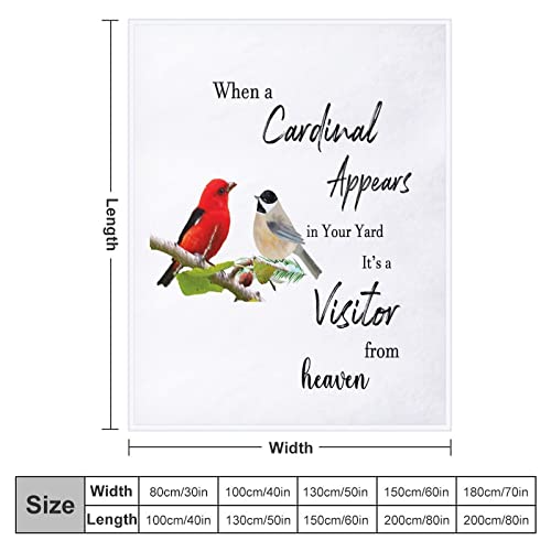 Couverture de canapé cardinal pour soirées cocooning chaleureuses