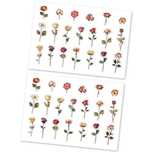 ẢԂe[}ɂXebJ[ Adheisve PET XNbvubLOW[ivi[dbP[XtHgAoA[g