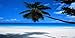 White Sands Beach Scenery Vanity Metal Novelty License Plate Tag Sign