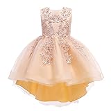 Weileenice Rose Gold Flower Little Girl High-Low Dress 3 4 Toddler Formal Wedding Party Princess Pag