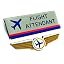 Flight Attendant
