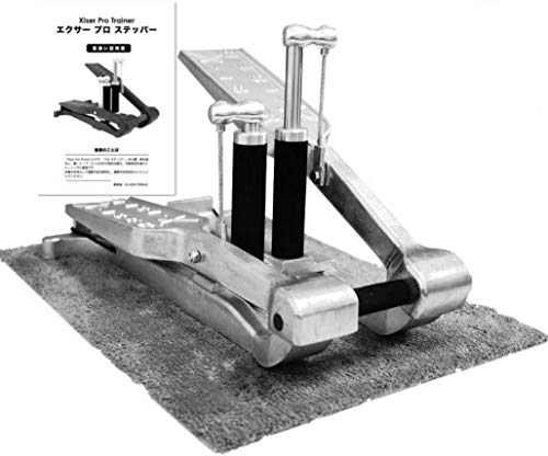 Xiser】「エクサー プロステッパー」を買ってみた感想。【メンタ
