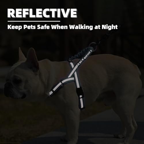 Image of PUPTECK No Pull Dog Harness Small Sized Dog, Adjustable Reflective Pet Vest Harness with Bungee Handle, Escape Proof No Choke Harness for Small Dogs Walking Training, Sky Blue S