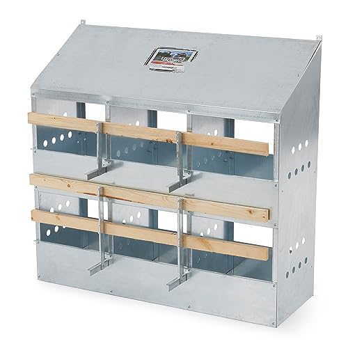 Brower 2-Tier 6-Hole Galvanized Steel Chicken Nesting Box, 30 to 40 Hen Capacity – Outdoor Poultry Laying Station with Hinged Folding Perches, Ventilated Design & Slanted Roof – Made in The USA