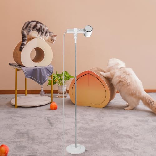 Support sèche-cheveux de toilettage extensible pour chien et chat avec base acier