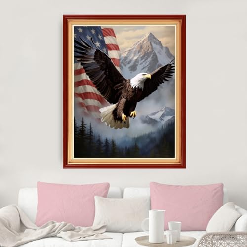 Image of Dimxvean Stamped Cross Stitch Kits,Cross Stitch Kits for Adults Beginners,Embroidery Kits Full Range of Cross Stitch Stamped Kits Needlepoint Kits Cross Stitch Patterns-Flag Eagle 16x20 inch