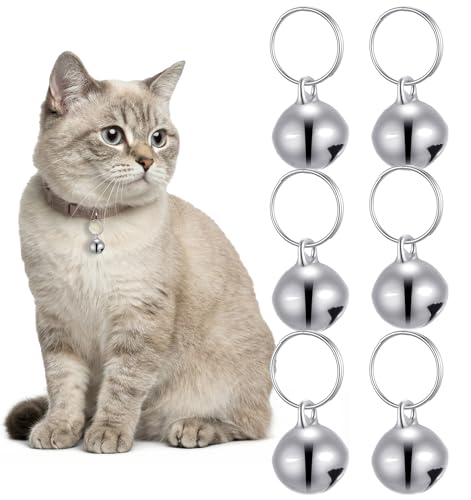 Thrymme 6 Pcs Small Pet Bells, Stainless Steel Cat Collar Bell Small Bell for Dog Collar Jingle Bells for Pets Collars Charm, Anti-Lost Training, 1/2-Inch, Silver