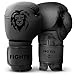 FIGHTR® Premium Guantoni da Boxe – Ideali stabilità e Forza d'urto | Guanti da Punching per Boxe, MMA, Muay Thai, Kick Boxing & Arti Marziali | con Custodia (all Black, 12 oz)