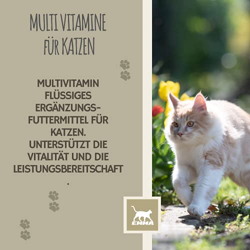 EMMA Katzen Vitamine Multivitamin 100 ml | Vitamin B Komplex mit B12 B6 B1 A D3 E | Mineralien Folsäure Eisen Zink Selen & L-Lysin | Immunsystem stärken, Fell & Stoffwechsel Katze