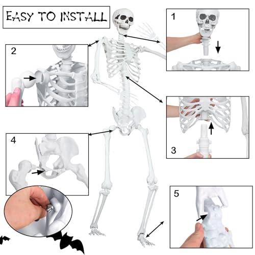 LOSFOTBO 7.9Ft/240cm Giant Skeleton Poseable Skeleton Realistic Full Body Bones for Halloween Decorations by LOSFOTBO - Used condition - Image 4