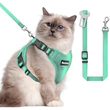 Cat Harness and Leash for Walking, The Upgrade Can be Adjusted in Four Directions and Breathable Cat Harness for Anti Escape that can be Fitted and Positioned, Reflective Strips Harness, Green,M