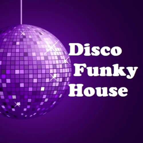 Photo de Disco Funky House by lieb-art