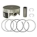 Namura, NA-30014-B, Size B HyperDryve Piston Kit Suzuki King Quad 700 & 2006-2008 Arctic Cat 700 Standard Bore 102mm