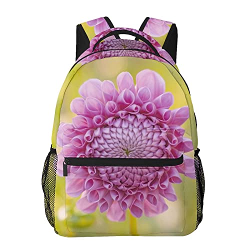 [RFSHOPWO] _A bN fB[X Y rWlXbN A4 e PCobN ʊw ʋ y h l  Oo AEghA jp Z obNpbN }U[Y a v[g