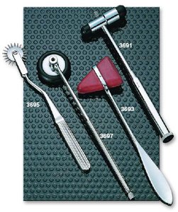 Taylor Hammer, Orange, Latex-Free