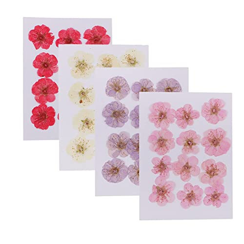Flores secas naturales para manualidades 12 piezas miniatura 2