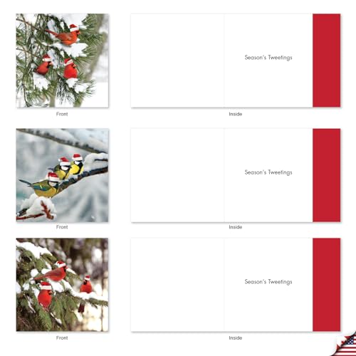 Image of Best Card Co 10 Christmas Boxed Cards Birds MQ5030XSG-B1x10