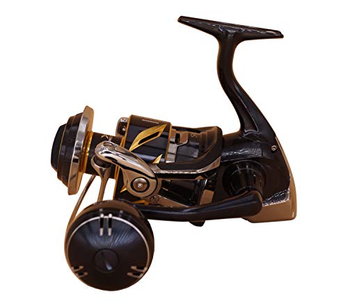 Shimano Stella Sw-C 8000 Pg