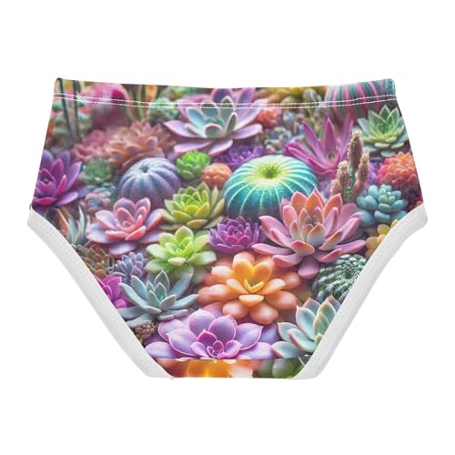 Girls Underwear Toddler 2t Cotton Little Girl Panties Fun Undies Kids Briefs Colorful Succulent2