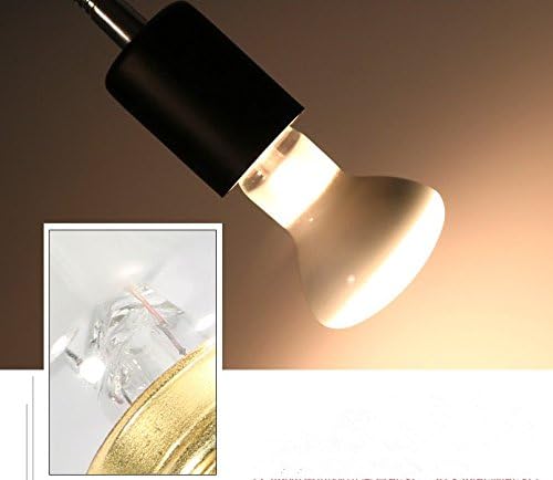 CTKcom 2-Pack 110V 75W Pet Heating Lamp,Basking Heat Spot Lamp, Reptile Heat Bulb for Turtle Aquarium Aquatic Reptile Lizard Heat Lighting E26/E27,White,2 Pcs